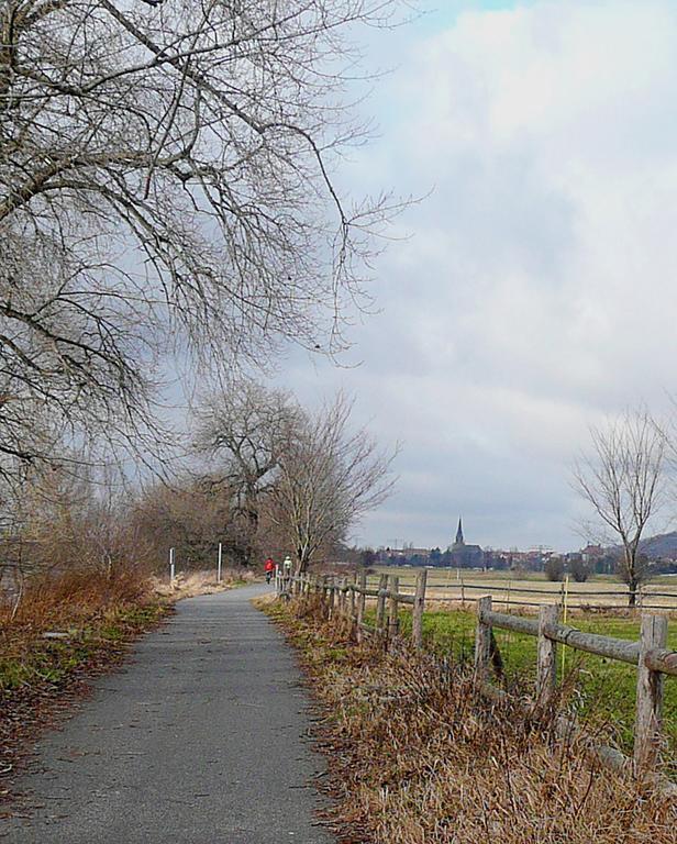 Ferienwohnung Am Elberadweg เดรสเดน ภายนอก รูปภาพ