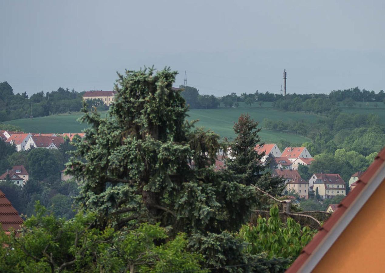 Ferienwohnung Am Elberadweg เดรสเดน ห้อง รูปภาพ